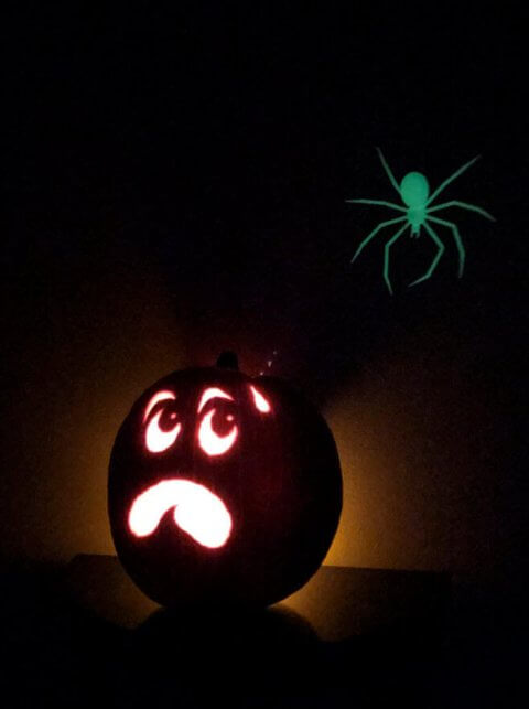 picture of pumpkin with 3D printed glow in the dark spider