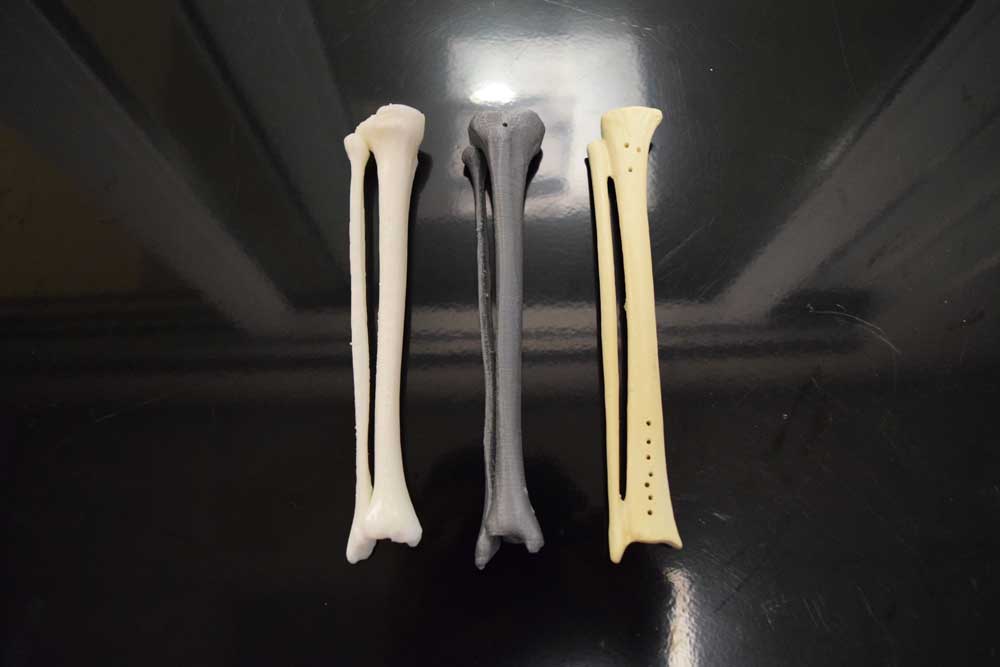 3D printed fibula and tibia print comparison