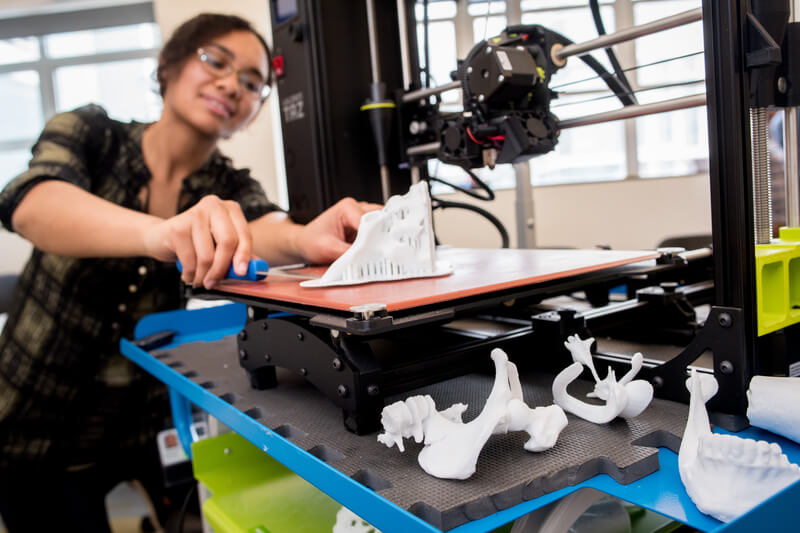 First year medical students share the 3D prints they created in the Introduction to 3D Printing for Health Science Students course...The elective is a partnership between the Department of Anatomy and the Librarys Makers Lab...Medical student Jacqueline Booker demonstrates removing a 3D project from the printer.