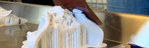 Silicone skin draping 3D printed pelvis