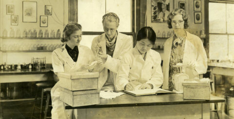 photocoll L labs pharmacology copy