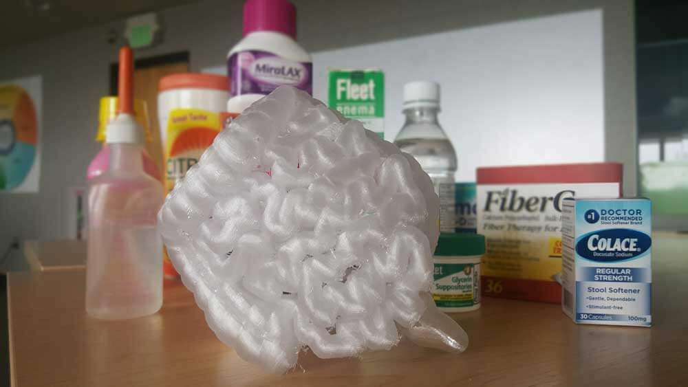 3D printed GI tract