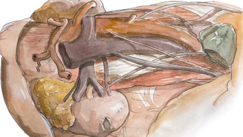 Hamade watercolor image of human torso