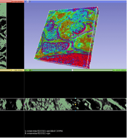 Volumetric Dataset