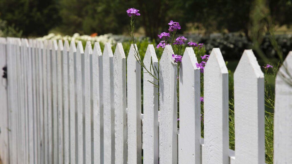 picket fence with flowers