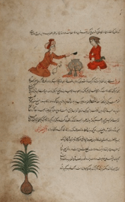 Kitab 2