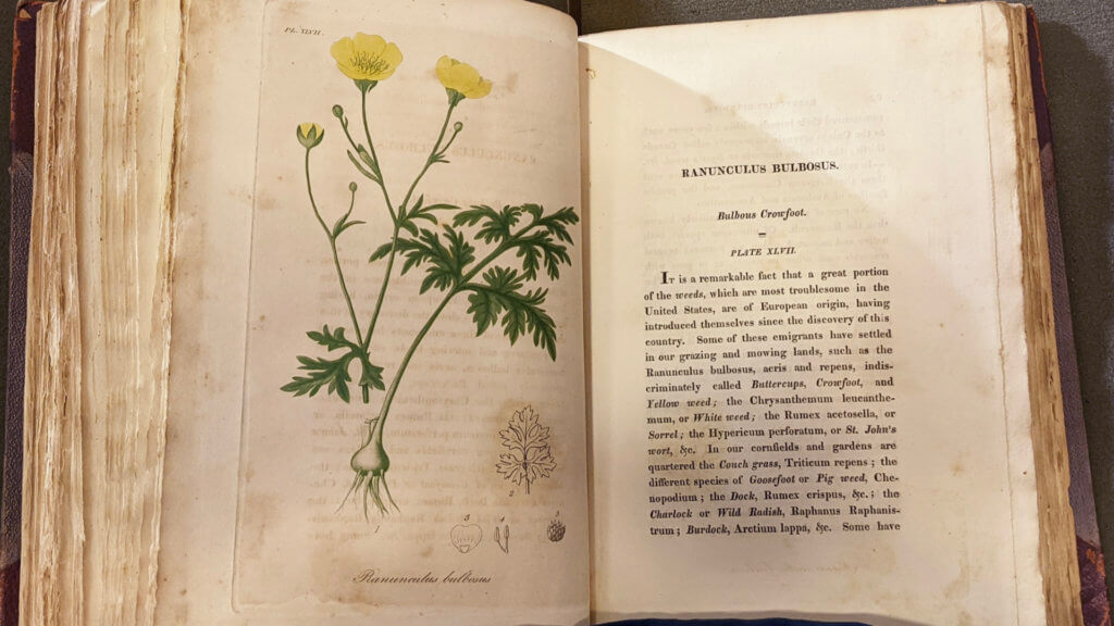 Botanical book in UCSF Archives