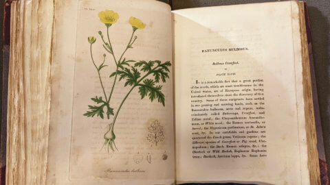 Botanical book in UCSF Archives