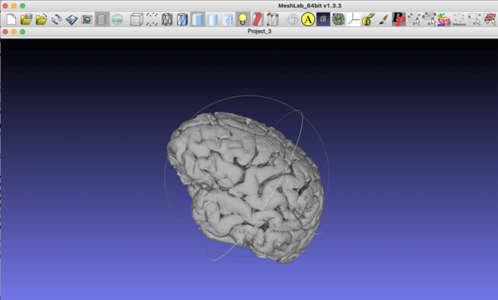 STL of resulting brain surface in MeshLab software