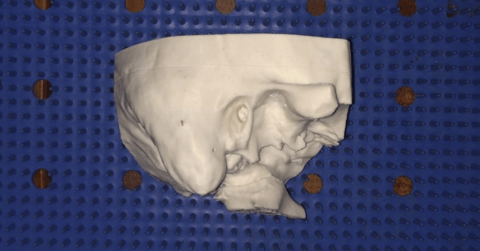 3D print design of a temporal bone
