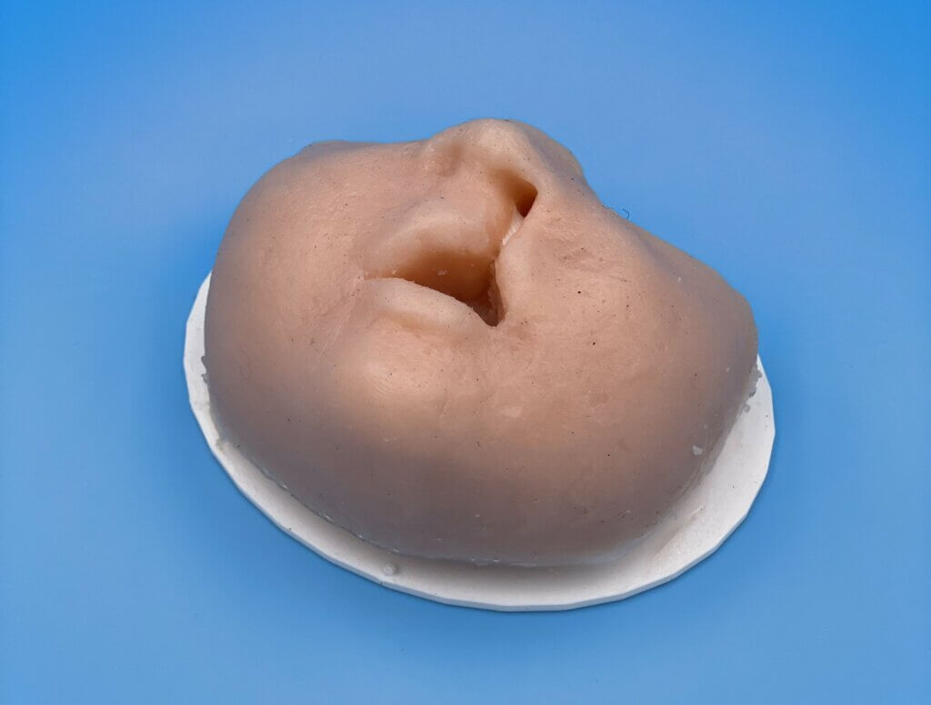 Pediatric cleft lip/palate surgical training model