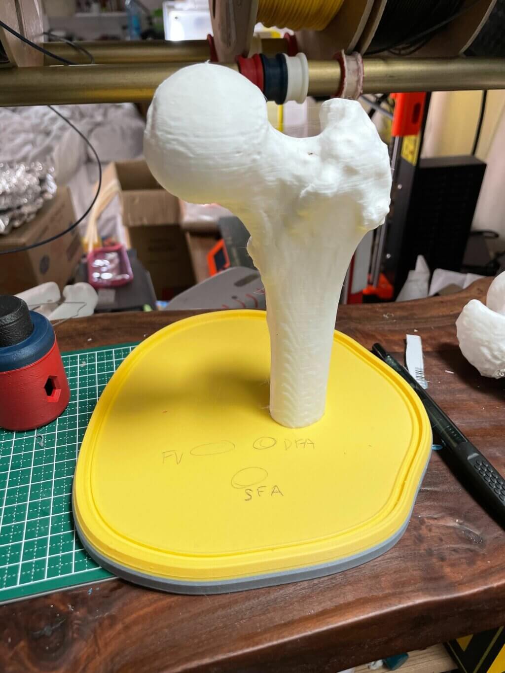 3D printed model of femur with no support structure.