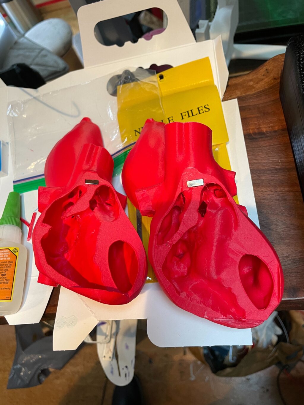 3D printed heart models