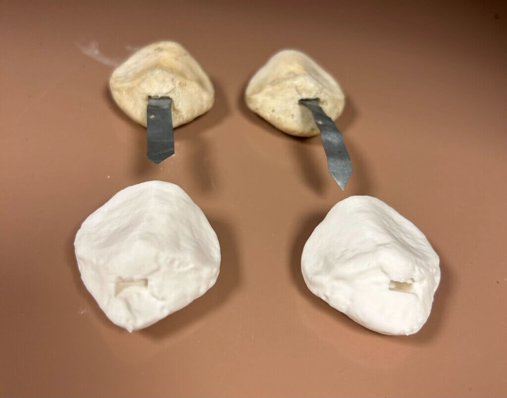 3D printed patellae bones in white PLA.