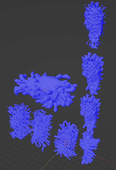 Osteocytes 3D models in Blender