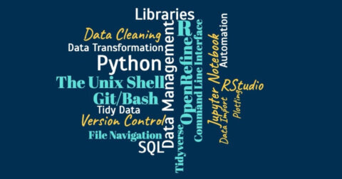 Word cloud of data terms such as "data management", "Git/Bash", "Python", "Data Cleaning", etc. in light blue, white and yellow font on top of a dark blue background.