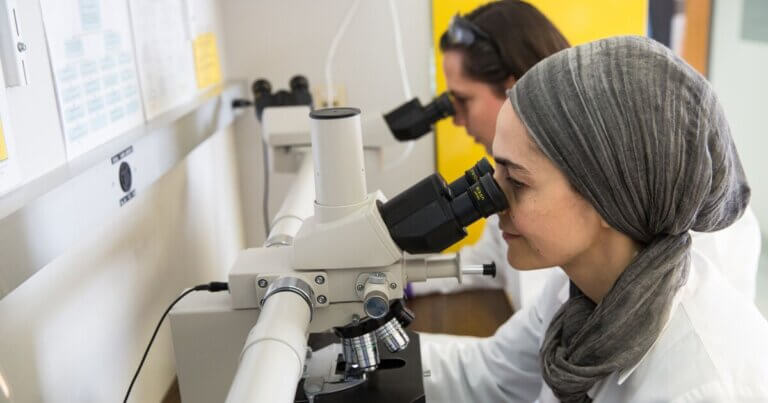 Two researchers looking into microscopes