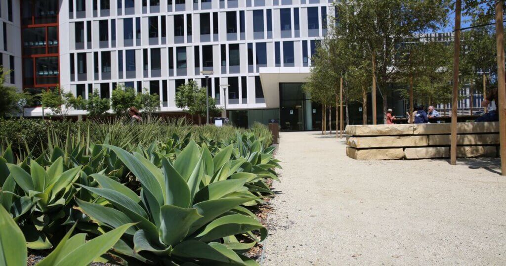 Foliage and pathway in front of a building at UCSF Mission Bay