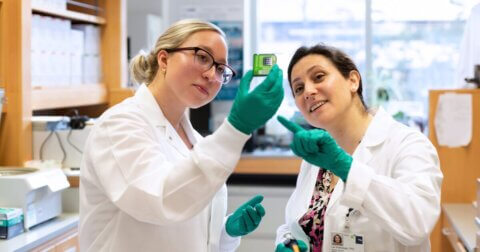 Two researchers hold up an RNA Nano Assay chip in a lab.