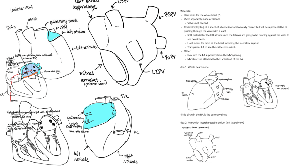 Catheter ablation trainer ideation 1