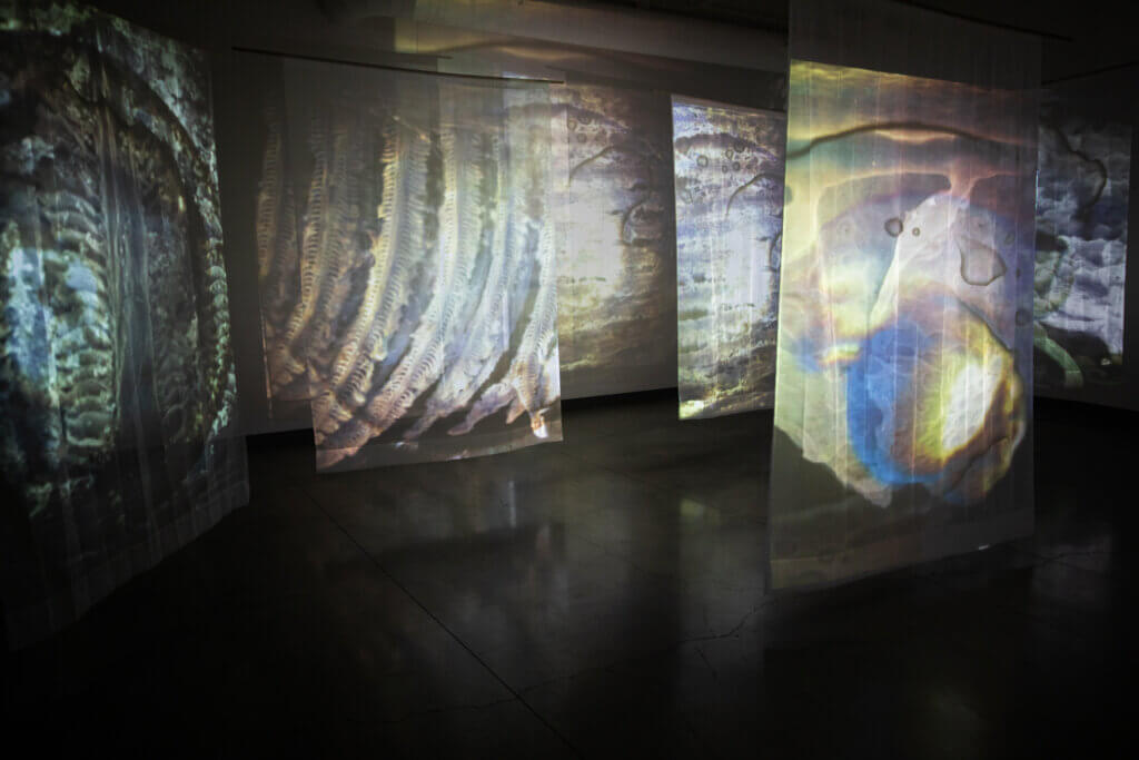 Projection mapped video on sheer voile fabric.