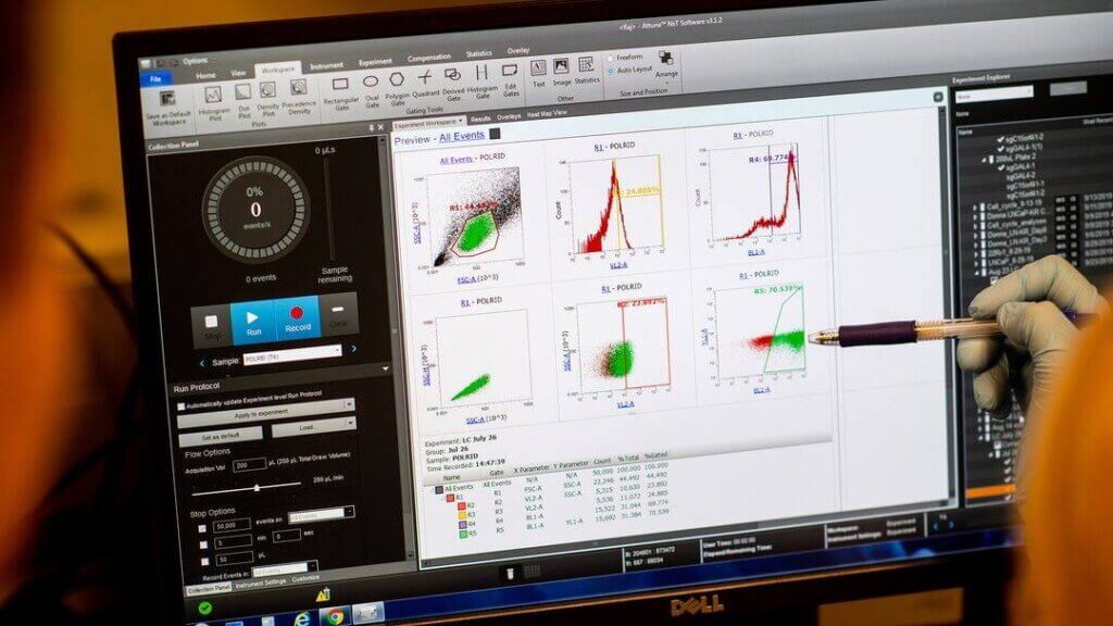 A researcher examines a quantification of fluorescently labeled proteins.