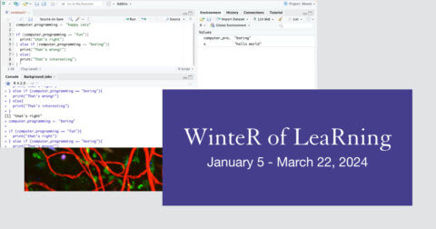 WinteR of LeaRning 2024 January 5 - March 22, 2024 with an image of the R Studio interface.
