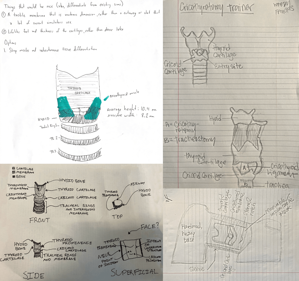 Sketches of cervical anatomy, including contributions from Dr. Schlocker., created in pen and pencil.