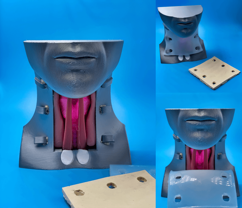 Close-up views of the finished cricothyrotomy trainer, with and without its cutaneous layer.