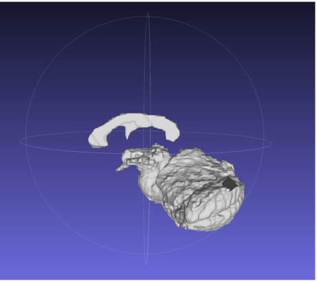 Meshlab subcortical