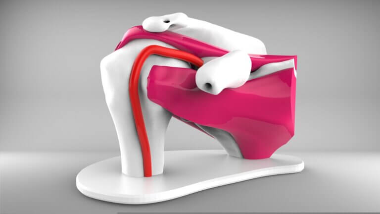 Ilan Benador-Shen Featured Image