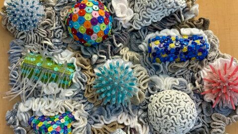 Crochet assemblage titled Plastic Reef: UCSF. Displayed on wall and consists of yarn, discarded medical plastic discards, pins, and canvas.
