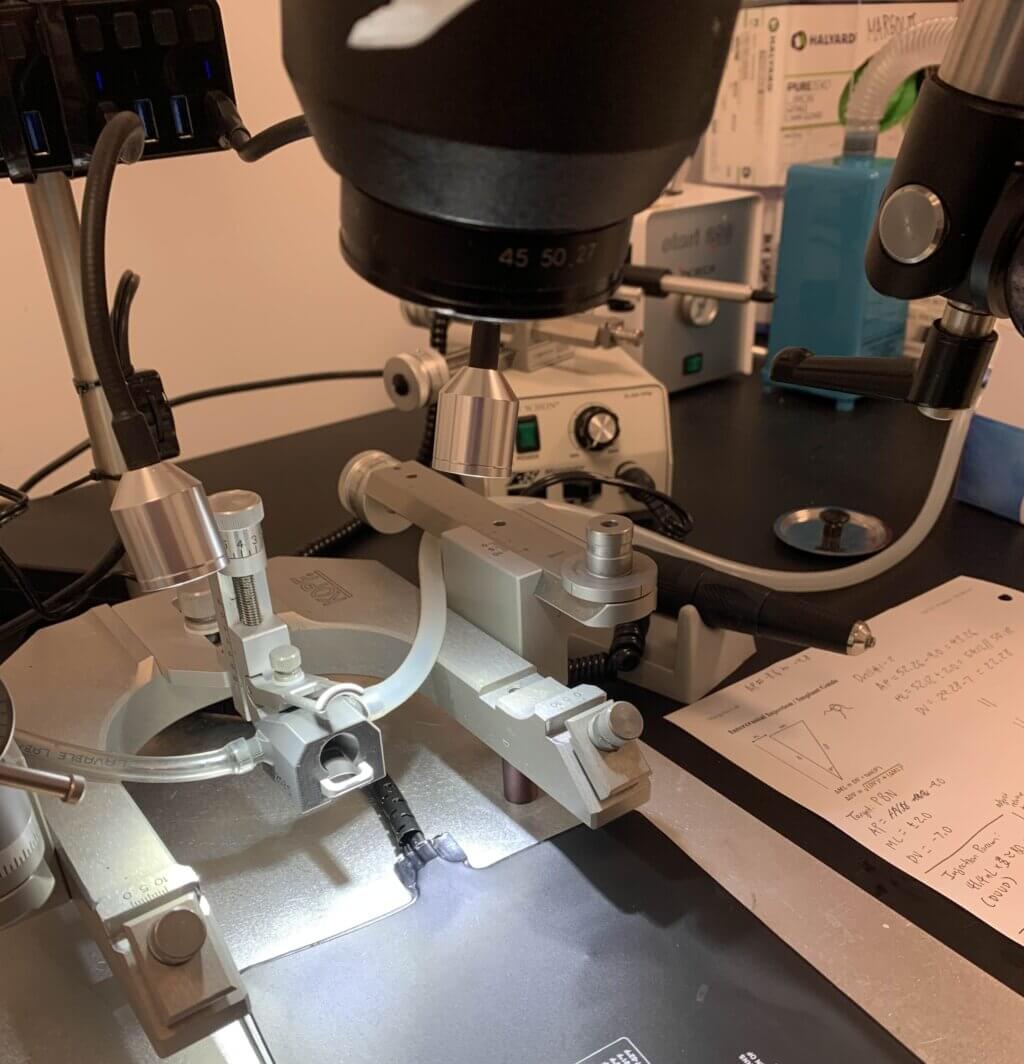 Stereotaxic surgery setup next to a paper with scientific notes