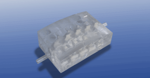 digital render of lumbar puncture model