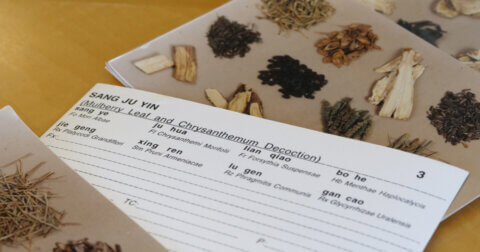 Cards on a table with one side showing different herbs and plans, one is flipped to show the names of the plants in English and Chinese.