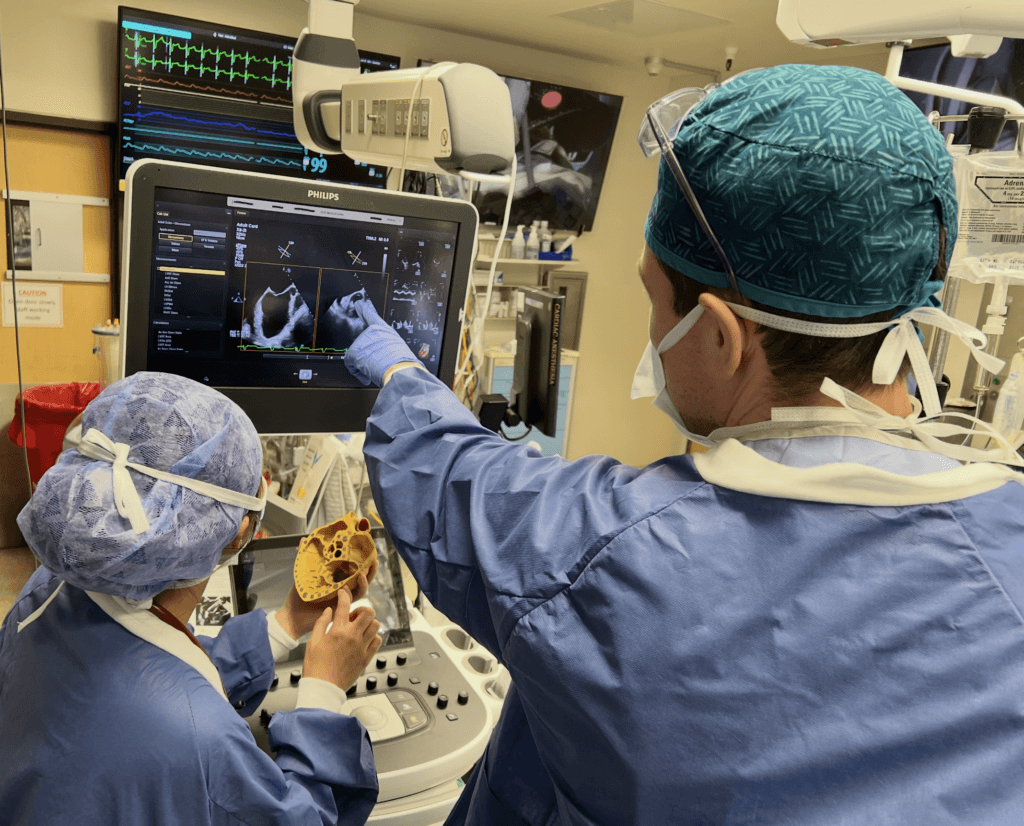 A male resident points to the monitor of the echocardiogram while a female resident orients the 3D printed heart model to show the same view